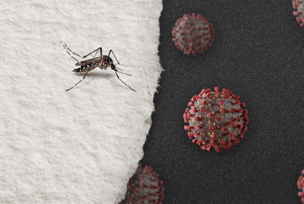 dengue e covid