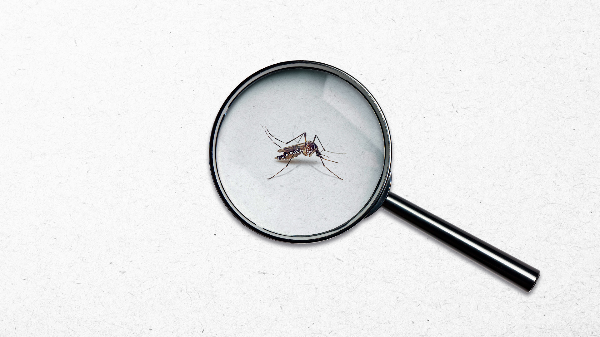 Quais são os sintomas da dengue, zika e chikungunya? Saiba agora!