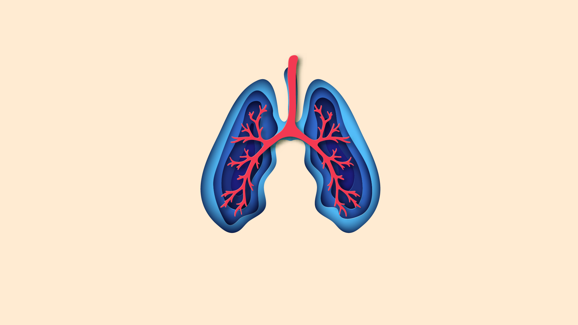Tuberculose: tudo o que você precisa saber